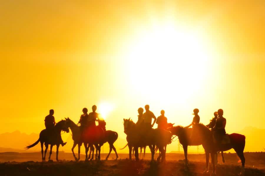 Hurghada: Sea & Desert Horse Tour, Stargazing, Dinner & Show - Sunrise breakfast or sunset dinner and show