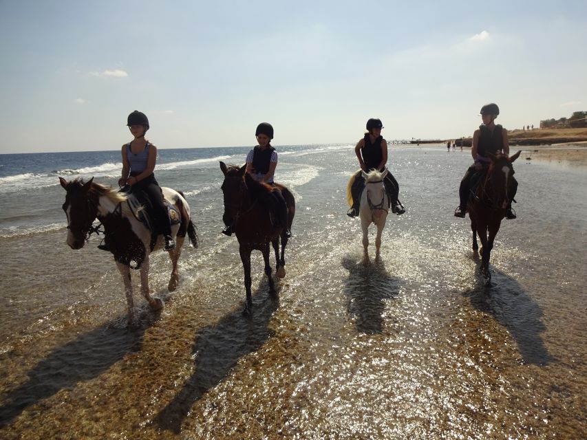 Hurghada: Sea & Desert Horse Tour, Stargazing, Dinner & Show - What the $20 price really buys you