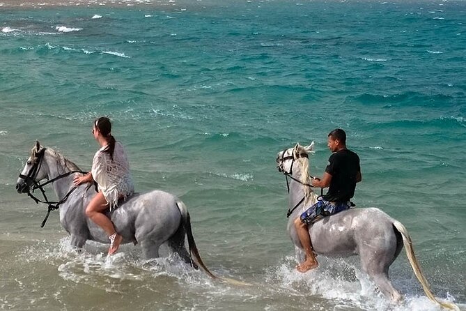 Hurghada: Sea & Desert Horseback Riding, Stargazing, Dinner, Show - Starting around Makadi Bay on horseback