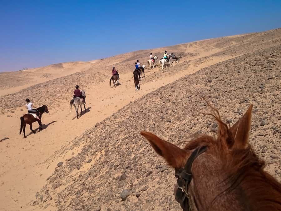 Hurghada: Sunset Sea, Desert Horse W Opt, Dinner, Stargazing - My practical verdict on the guides and group feel