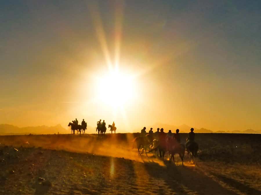 Hurghada: Sunset Sea, Desert Horse W Opt, Dinner, Stargazing - What the Hurghada horse ride actually offers