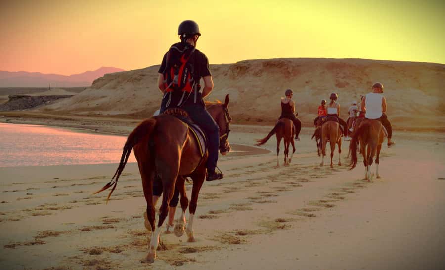 Hurghada: Sunset Sea, Desert Horse W Opt, Dinner, Stargazing - Choosing between sunset, sunrise, dinner, and stargazing