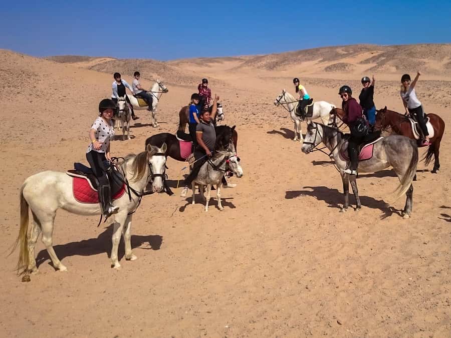 Hurghada: Sunset Sea, Desert Horse W Opt, Dinner, Stargazing - The VIP swim option and what it changes