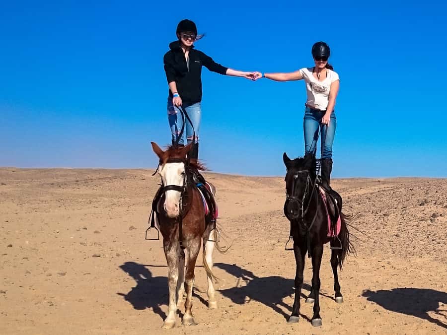 Hurghada: Sunset Sea, Desert Horse W Opt, Dinner, Stargazing - Dinner, dancing, and the Egyptian evening