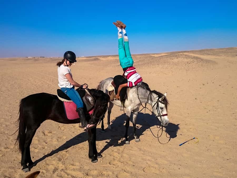 Hurghada: Sunset Sea, Desert Horse W Opt, Dinner, Stargazing - What to bring and who should skip it
