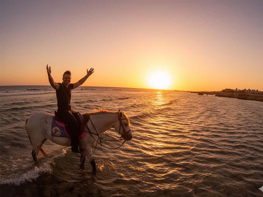 Hurghada: Sunset Sea, Desert Horse W Opt, Dinner, Stargazing - Meeting the horses and starting safely