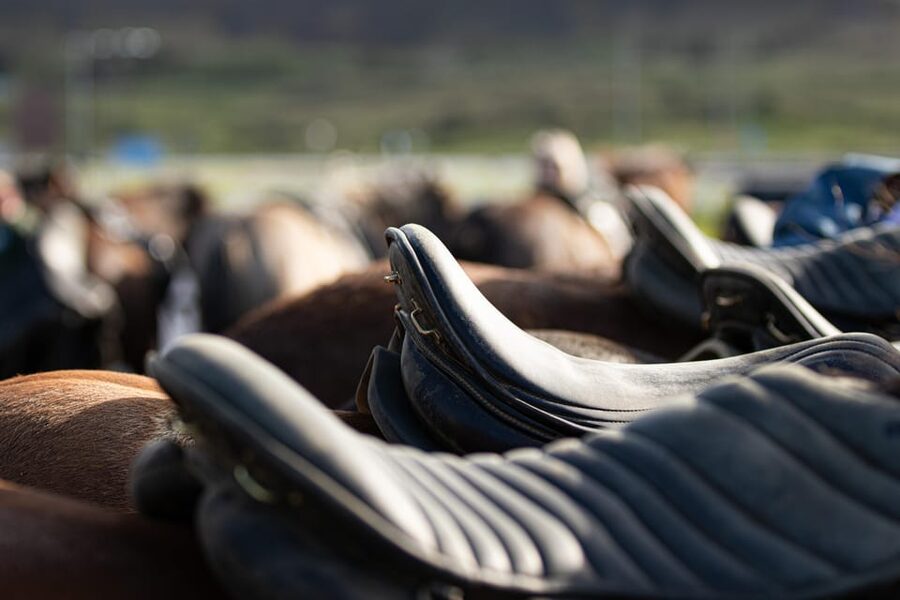Hveragerdi: Countryside Charm Horse Riding Tour - Why Icelandic horses make this a good first ride