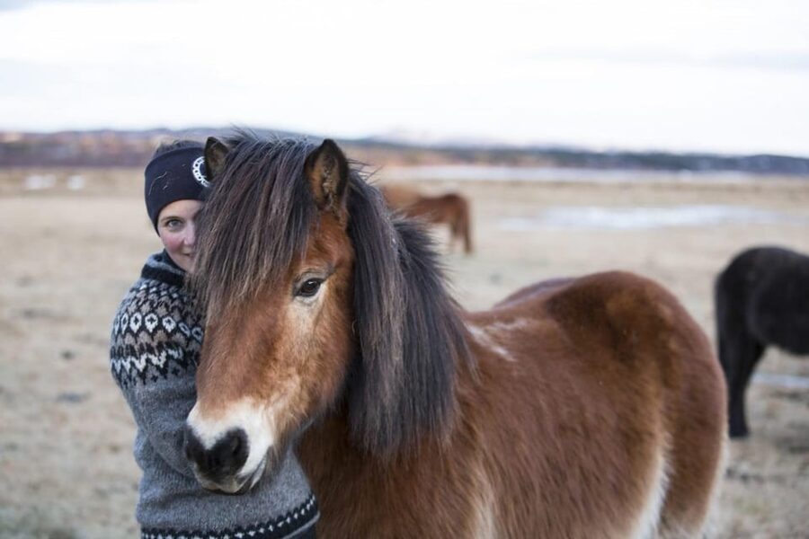 Hveragerdi: Countryside Charm Horse Riding Tour - Is $96 a fair price for one hour?
