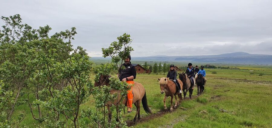 Hveragerdi: Reykjadalur (Hotspring Valley) Horse Riding Tour - Key points to know before you book
