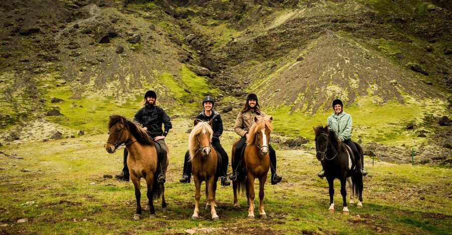 Hveragerdi: Reykjadalur (Hotspring Valley) Horse Riding Tour - Meeting an Icelandic horse