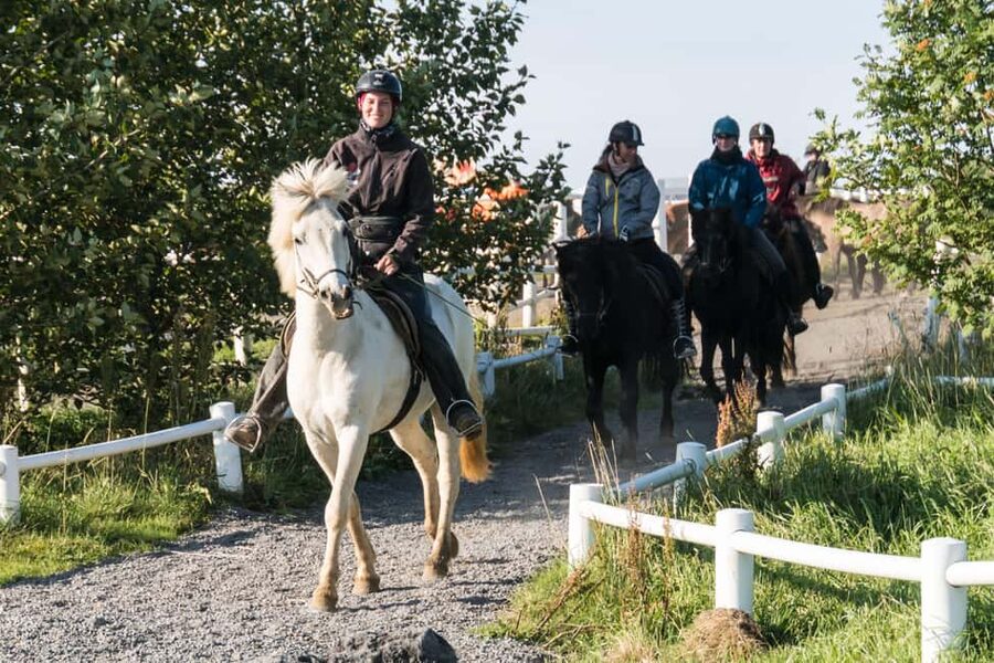 Hveragerdi: The Siggi Horse Riding Tour - Riding through meadows, lava fields, and farmland