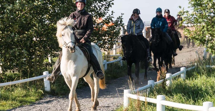 Hveragerdi: The Siggi Horse Riding Tour - Meeting the Icelandic horse at its own pace