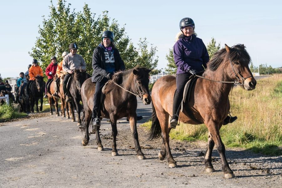 Hveragerdi: The Siggi Horse Riding Tour - Why the tölt is worth looking forward to