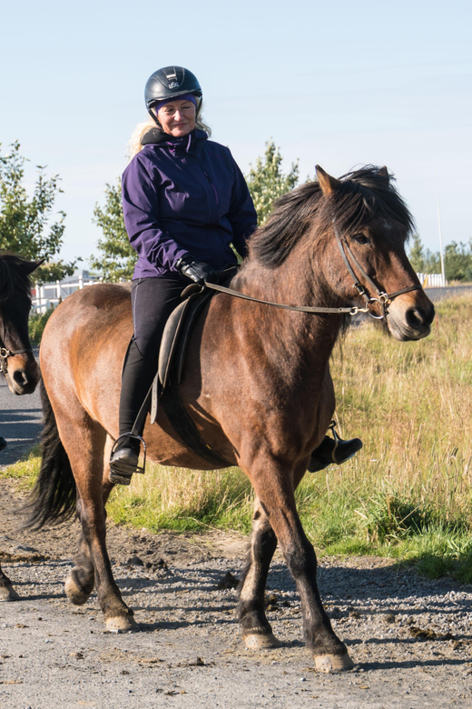 Hveragerdi: The Siggi Horse Riding Tour - Rivers, loose horses, and changing conditions