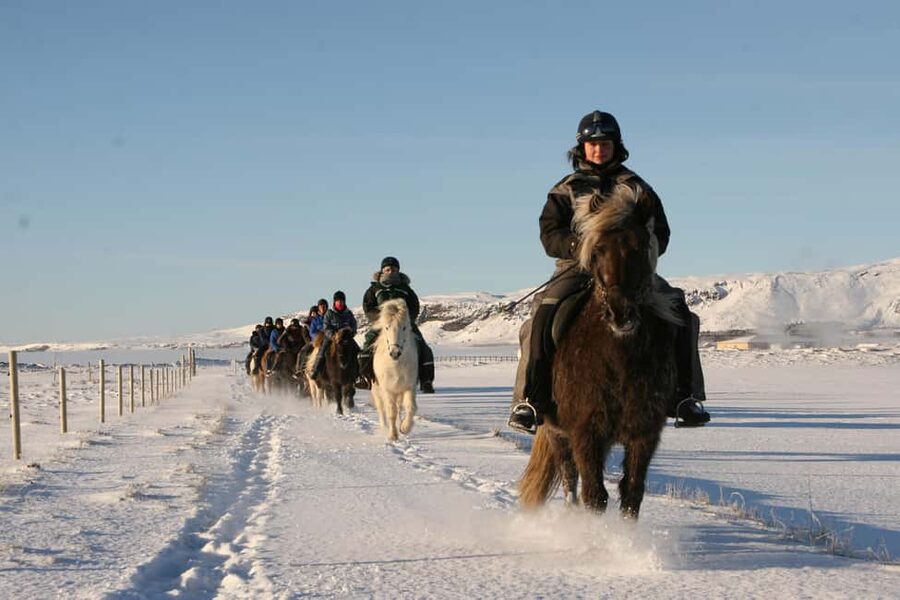 Hveragerdi: The Siggi Horse Riding Tour - Booking value, flexibility, and practical limits