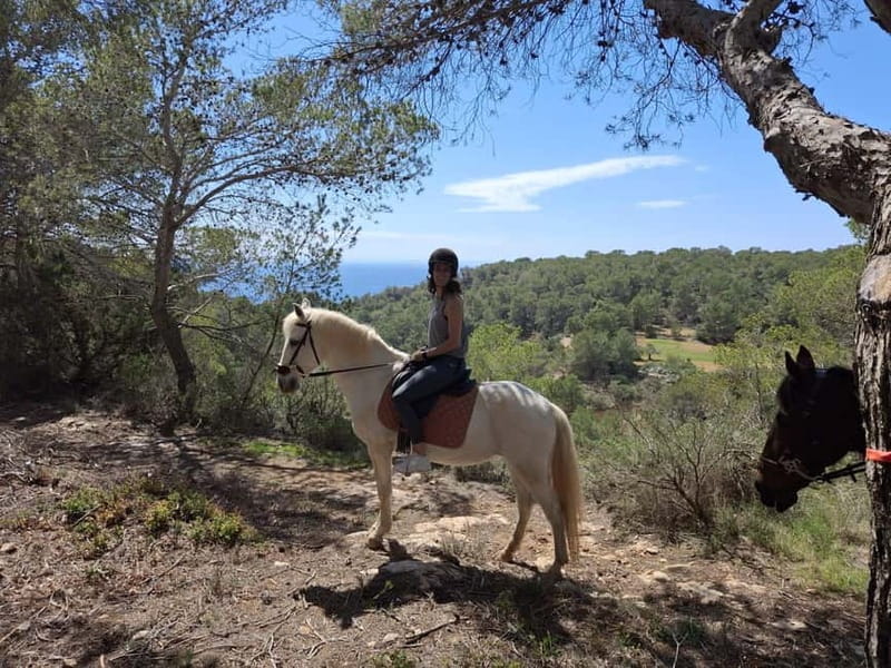 IBIZA: Private Horseback Ride with PICNIC + Hotel Pick-up - Leaving Ibiza’s party side behind