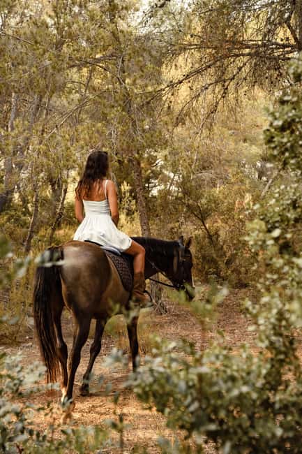 IBIZA: Private Horseback Ride with PICNIC + Hotel Pick-up - Well-kept horses and a friendly guide