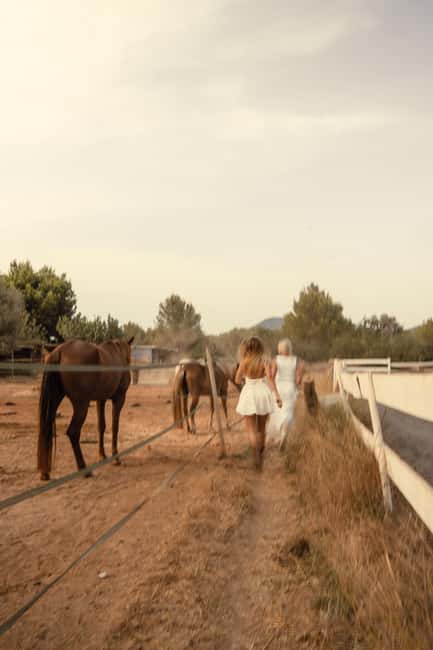 IBIZA: Private Horseback Ride with PICNIC + Hotel Pick-up - What the $410 price really covers
