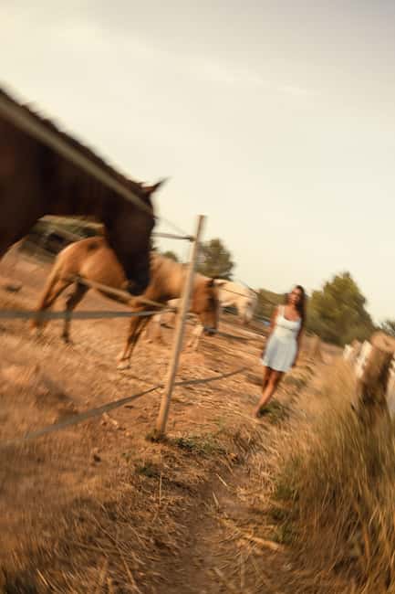 IBIZA: Private Horseback Ride with PICNIC + Hotel Pick-up - Should you book the Ibiza horseback ride?
