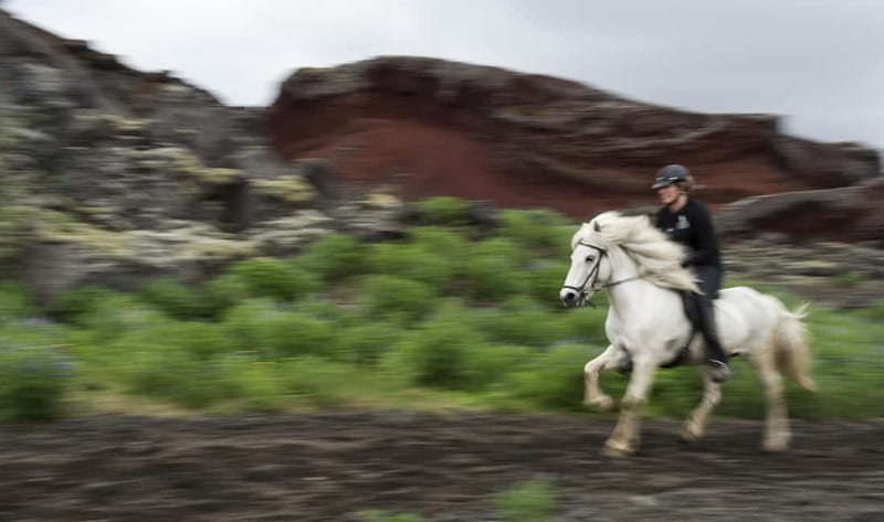 Iceland: Volcanic Landscape Horse Riding Tour - Key points to know before you book