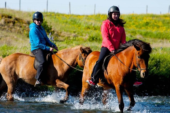 Icelandic Horse Riding and Whale Watching Cruise from Reykjavík - Weather, clothing, and comfort