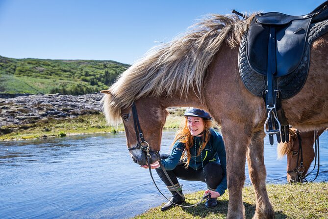 Icelandic Horse Riding and Whale Watching Tour from Reykjavik - Key Points Before You Book