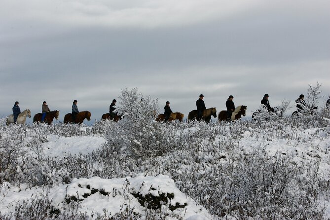 Icelandic Horse Riding and Whale Watching Tour from Reykjavik - Riding Through Lava Fields and Moorland