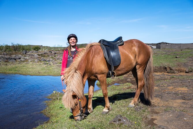Icelandic Horse Riding and Whale Watching Tour from Reykjavik - What the $233.08 Price Really Buys