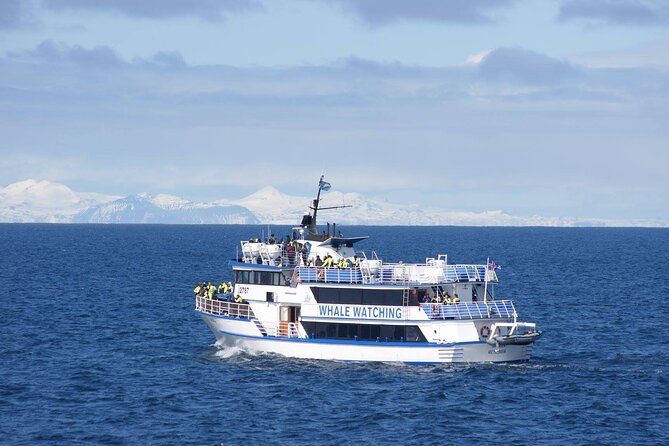 Icelandic Horse Riding and Whale Watching Tour from Reykjavik - Practical Tips for a Better Day