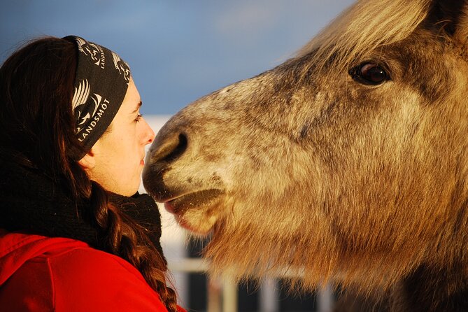 Icelandic Horse Riding and Whale Watching Tour from Reykjavik - From Reykjavik to Íshestar’s Lava Fields