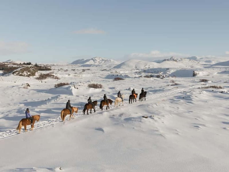 Icelandic Horse Riding Tour & Pickup Option from Reykjavik - Getting to Íshestar Stables in Hafnarfjörður