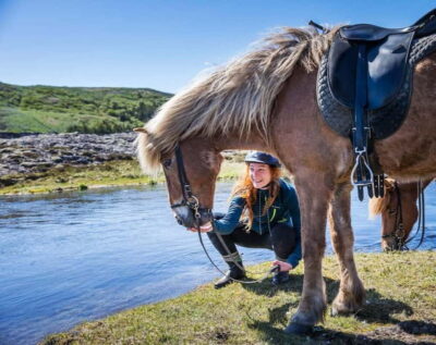 Icelandic Horse Riding Tour & Pickup Option from Reykjavik