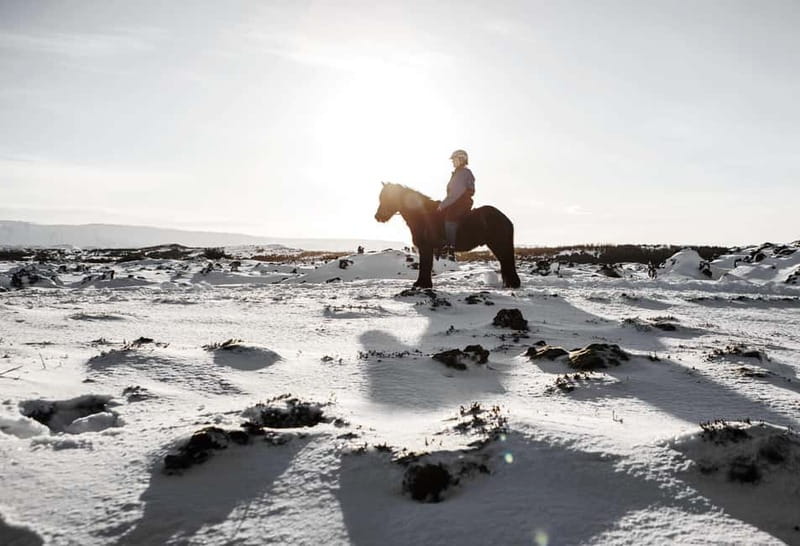 Icelandic Horse Riding Tour & Pickup Option from Reykjavik - The first 10 minutes: safety and getting comfortable