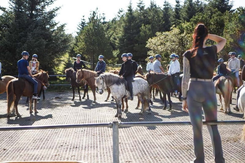 Icelandic Horse Riding Tour & Pickup Option from Reykjavik - Across the lava fields and green hills