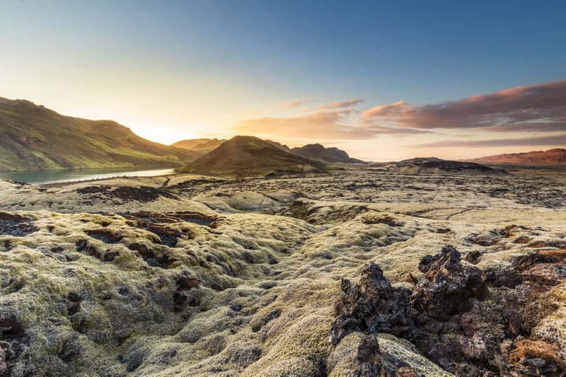 Icelandic Horse Riding Tour & Pickup Option from Reykjavik - What makes tölt special