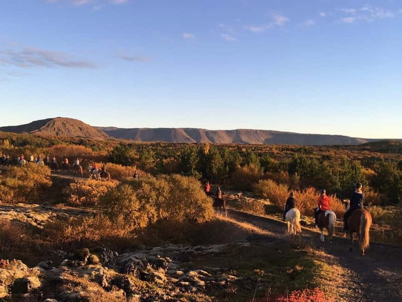 Icelandic Horse Riding Tour & Pickup Option from Reykjavik - Who will enjoy this ride most?