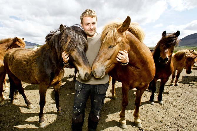 Icelandic Horseback Riding Tour Including Pick Up from Reykjavik - Riding through lava fields, streams, and open countryside