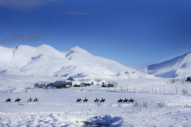 Icelandic Horseback Riding Tour Including Pick Up from Reykjavik - The three-and-a-half-hour timing and group size