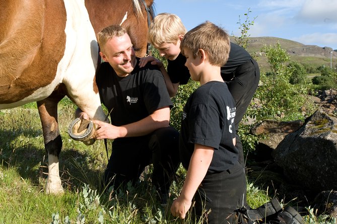 Icelandic Horseback Riding Tour Including Pick Up from Reykjavik - Is $152.37 a fair price?