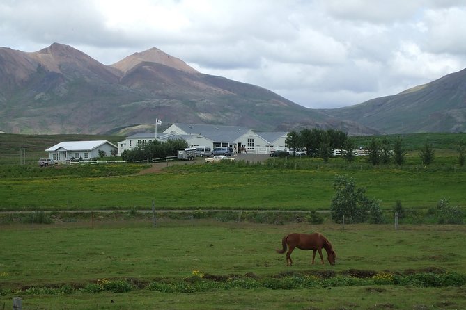 Icelandic Horseback Riding Tour Including Pick Up from Reykjavik - Getting ready with the right horse and clothing