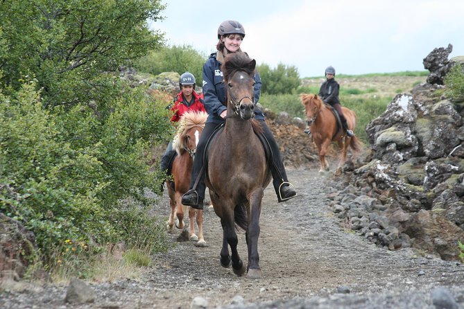 Icelandic Horseback Riding Tour with Pickup Option from Reykjavik - Key things to know before riding