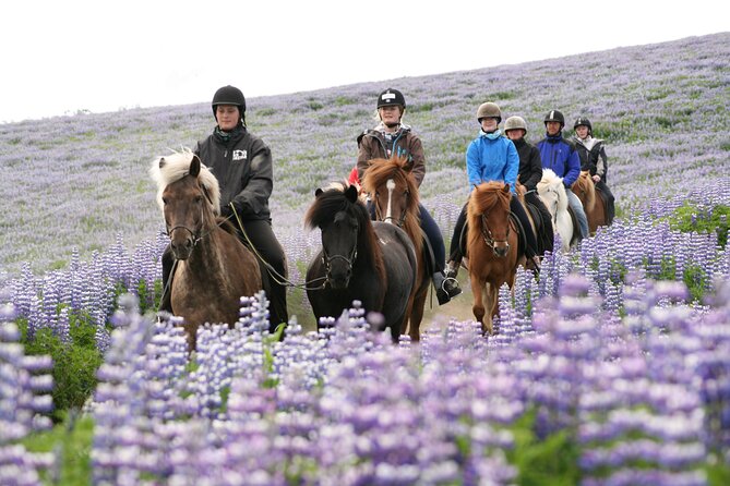 Icelandic Horseback Riding Tour with Pickup Option from Reykjavik - The warm drink at the stable
