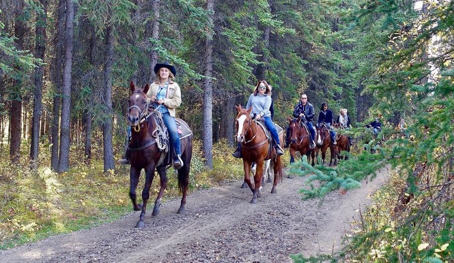 Jackson Hole: Bridger-Teton National Forest Horseback Ride - Key points at a glance