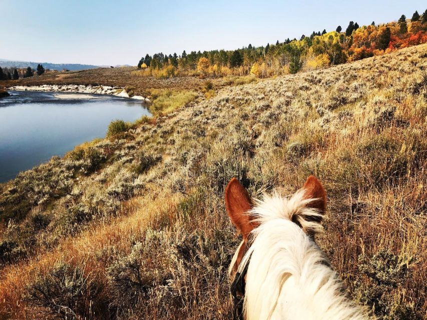 Jackson Hole: Bridger-Teton National Forest Horseback Ride - Starting at one of Wyoming’s old dude ranches