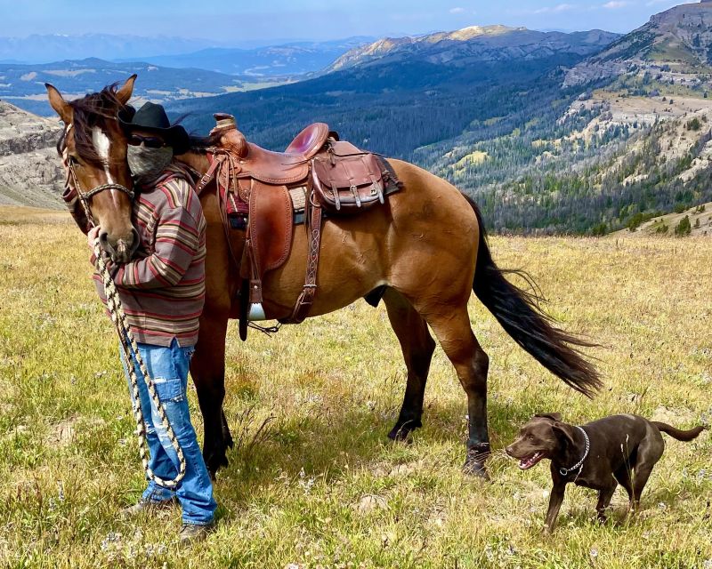 Jackson Hole: Bridger-Teton National Forest Horseback Ride - Learning to ride before you reach the trail