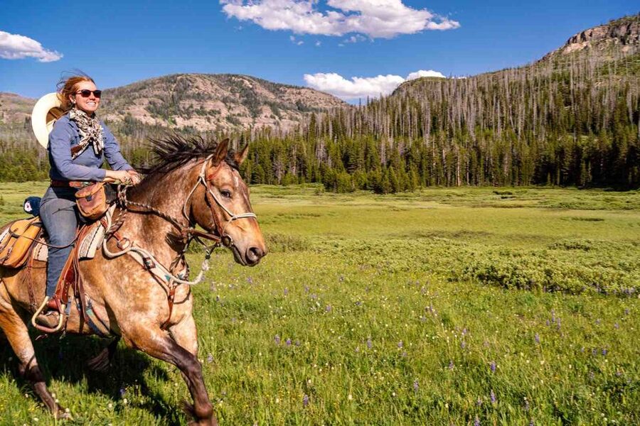Jackson Hole: Dinner Cookout & Bridger-Teton Horseback Ride - Starting at Heart Six Ranch in Moran