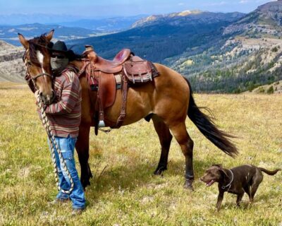 Dinner Cookout & Bridger-Teton Horseback Ride