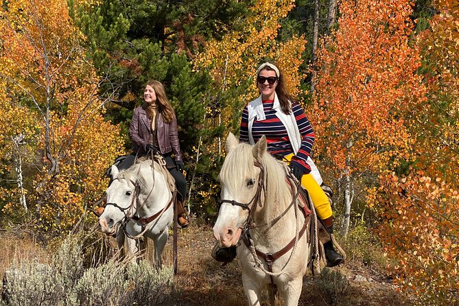 Jackson Hole Horseback Riding in Bridger Teton National Forest - Starting at Turpin Meadow Ranch