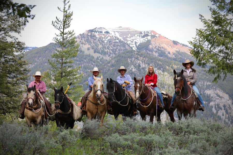 Jackson Hole: Teton View Guided Horseback Ride with Lunch - Key points to know before you book