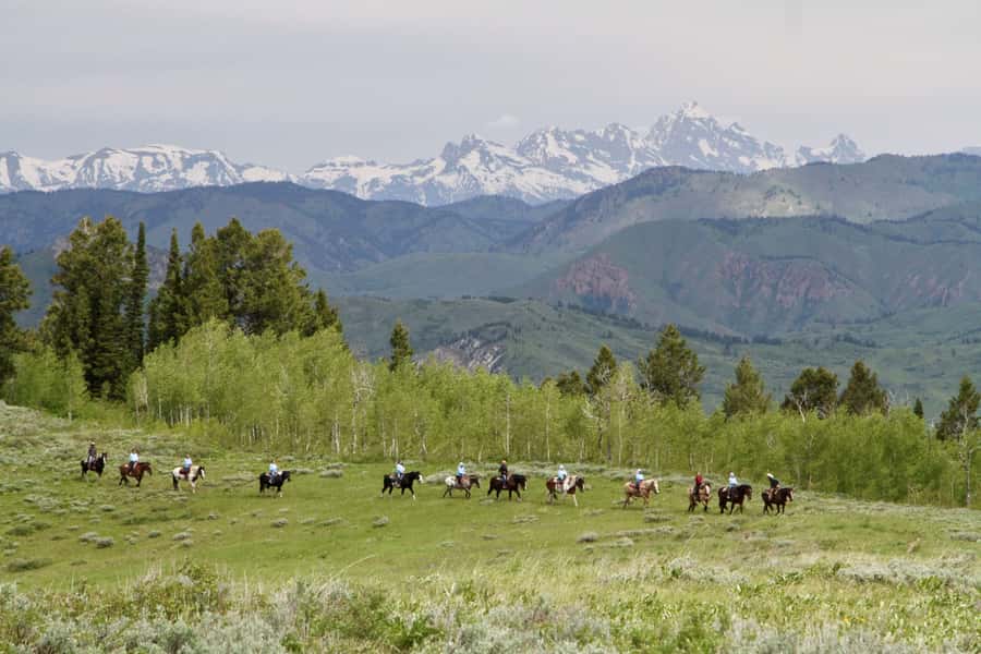 Jackson Hole: Teton View Guided Horseback Ride with Lunch - The 360-degree lookout at Ann’s Ridge